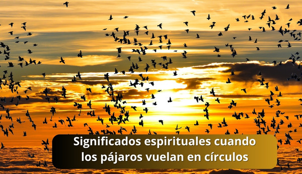 Significados espirituales cuando los pájaros vuelan en círculos