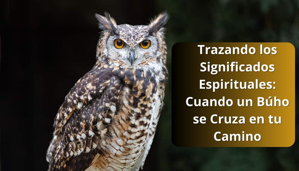 Trazando los Significados Espirituales: Cuando un Búho se Cruza en tu Camino