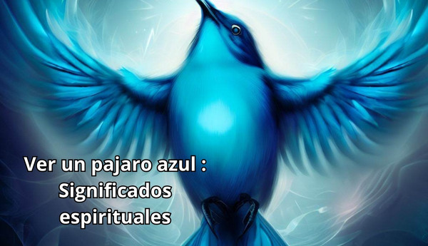 Ver un pajaro azul : Significados espirituales